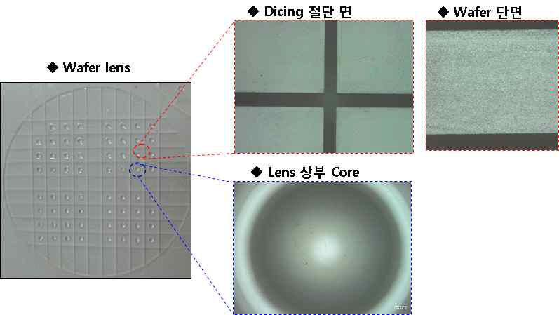 Wafer lens Dicing 공정 이후의 성형물 절단면 및 렌즈 부 확인