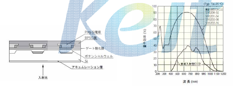 Hamamattsu Photonics 사 TDI 센서