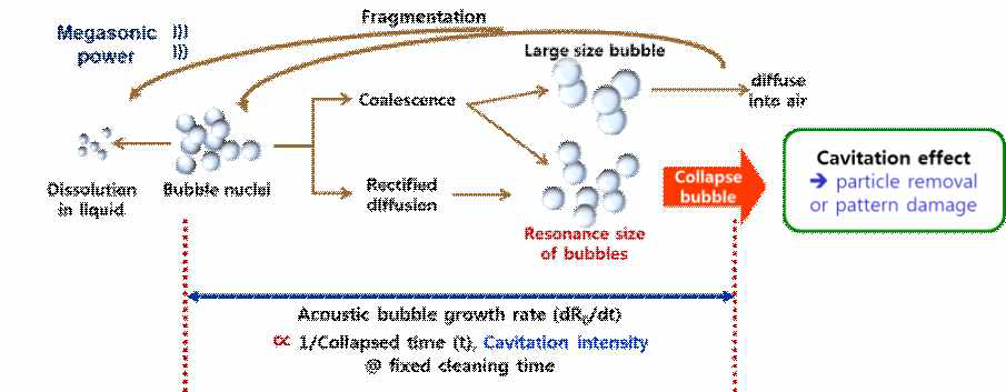 Acoustic bubble의 성장과 cavitation 효과의 연계성