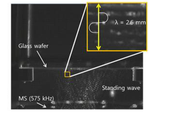 초음파 발진시 형성되는 standing wave와 공진 크기에 따른 acoustic bubble의 발생 위치