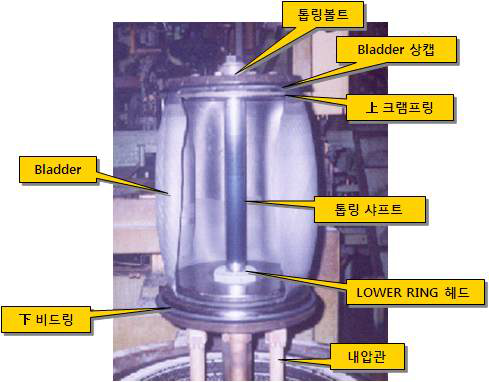 Cure Bladder 안착 모습(내부)