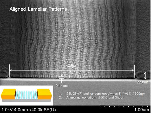 3 um내에서 주기 12 nm 가지며 정렬된 블록공중합체 나노구조