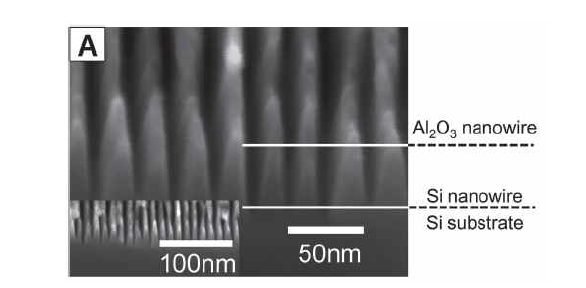 정렬된 초미세 알루미나 나노선 패턴을 이용하여, ICP-RIE 공정을 적용 정렬된 5 nm 급 실리콘 나노선을 구현한 모습을 관찰한 SEM 이미지