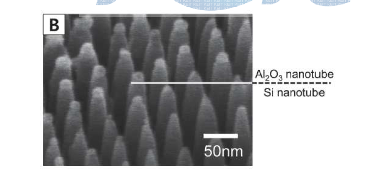 초미세 알루미나 나노튜브를 이용하여 ICP-RIE를 적용, 패턴전사하여 실리콘 나노튜브를 형성한 모습