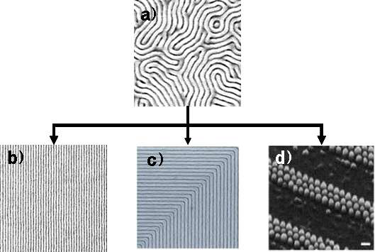 (a) 블록공중합체가 자연적으로 형성하는 무질서한 lamella 구조, (b),(c),(d) 화학적 패턴을 이용하여 구조형성을 유도함으로 얻어진 잘 정렬된 형태의 나노구조 Ref 1) Science 308, 1442, 2005, 2) Naito et al., IEEE Trans. Mag. 38, 1949, 2002