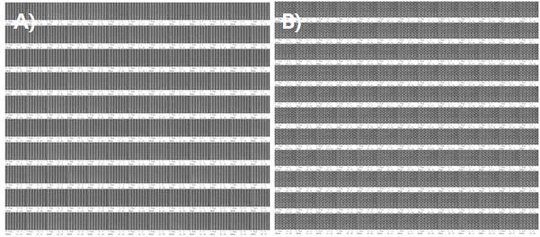 A) ASML-1900i를 이용한 30nm 1:3 라인 앤드 스페이스 가이드 패턴 형성. B) ASML-1900i를 이용한 60nm 1:1 라인 컨택홀 가이드 패턴 형성