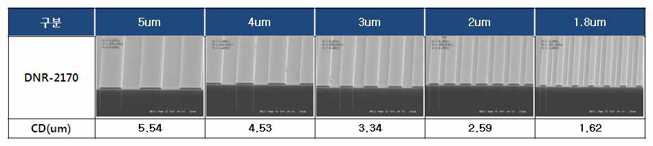 DNR-2170의 CD별 패턴 형성 이미지