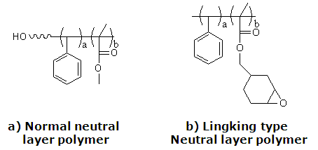 기존의 중성층 고분자 구조(a) 및 신규 가교 타입 중성층 고분자 구조(b)