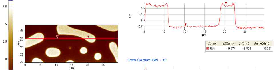 DJNL-1의 AFM이미지