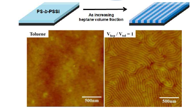 Solvent annealing 한 이후의 AFM 이미지