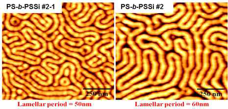 분자량이 다른 블록공중합체를 mixed solvent 분위기 하에서 annealing 한 이후의 AFM 이미지