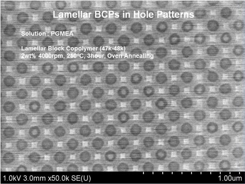 80 nm 급 홀 패턴내에서 라멜라 블록공중합체를 이용하여 40 nm 급 홀패턴을 형성한 모습을 관찰한 SEM 이미지