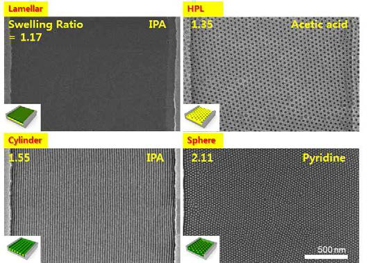 유기 용매의 종류와 팽창률에 따라 형성된 다양한 모폴로지의 패턴의 표면 SEM 사진