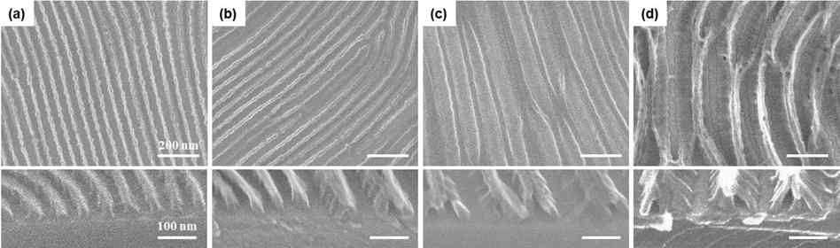 RIE 3 조건을 이용하여 제작된 nanoline 템플리트의 top and 45o tilt view SEM 이미지. 종횡비 (a) 3 (height = 60 nm), (b) 4 (height = 80 nm), (c) 5 (height = 100 nm), (d) 8 (height = 100 nm)