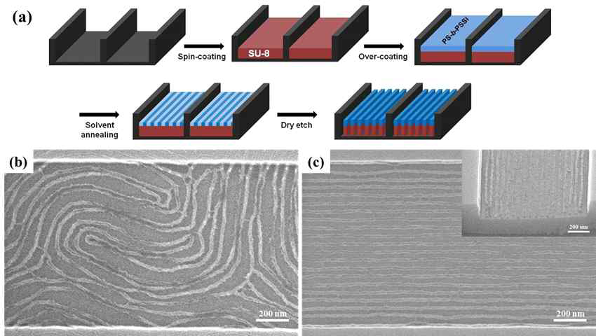 (a) 가이드 패턴과 블록공중합체의 bilayer 시스템을 이용한 높은 종횡비를 갖는 nanoline 패턴 제작 공정의 모식도. (b) without a PS brush, (b) with a PS brush 처리를 한 기판위에 정렬된 nanoline 패턴의 SEM 이미지