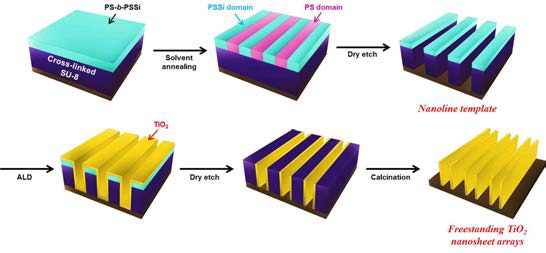 Nanoline 템플리트를 이용한 기능성 nanosheet 배열 제작 모식도