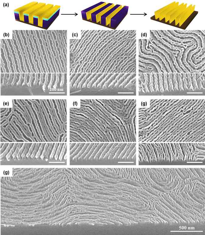 (a) Nanoline 템플리트에 ALD를 적용시켜 TiO2 nanosheet 배열을 제작하는 공정의 모식도 (b) ALD 방법으로 5 nm 두께의 TiO2 입자를 증착 시킨 이후의 SEM 이미지 (c) CF4 RIE 공정 이후의 SEM 이미지 (d) lift-off 공정으로 템플리트를 제거한 이후의 SEM 이미지 (e) ALD 방법으로 10 nm 두께의 TiO2 입자를 증착 시킨 이후의 SEM 이미지 (c) CF4 RIE 공정 이후의 SEM 이미지 (d) lift-off 공정으로 템플리트를 제거한 이후의 SEM 이미지 (d) 대면적에서의 10 nm TiO2 nanosheet 배열의 SEM 이미지