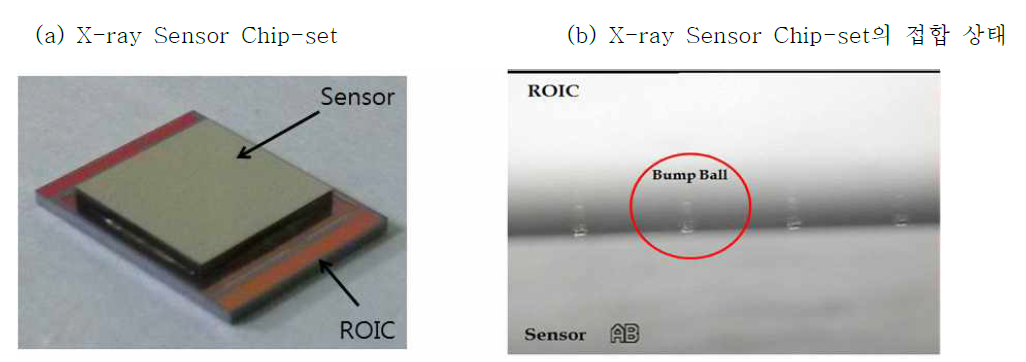 X-ray Sensor Chip-set 및 접합 상태