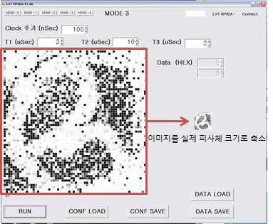 X-ray 촬영 피사체 Image