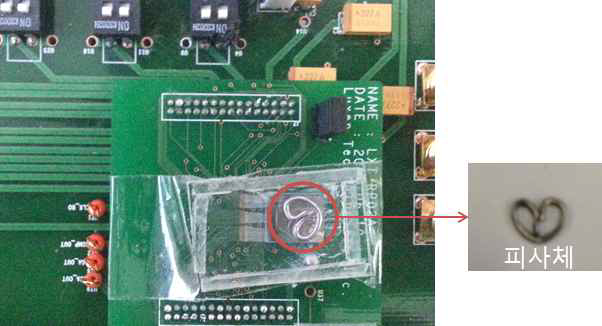 Hybrid X-ray Sensor 위의 피사체