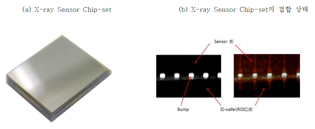 X-ray Sensor Chip-set 및 접합 상태