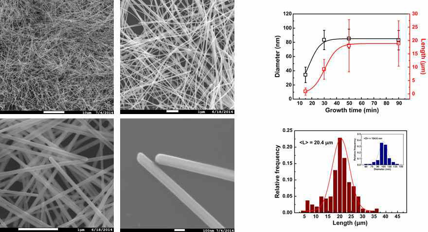 합성된 은 나노 선의 SEM 및 크기 분석