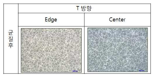 ECO 6005-2 빌렛의 균질후 미세조직