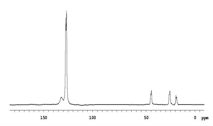 폴리프로필렌 13C-NMR 분광분석