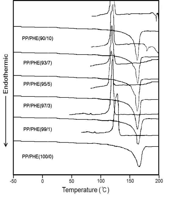 PHE함량에 따른 PP-PHE의 DSC 분석