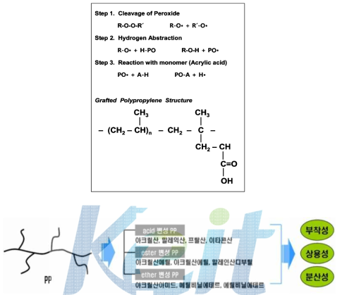 폴리프로필렌 graft 개질 반응 일예