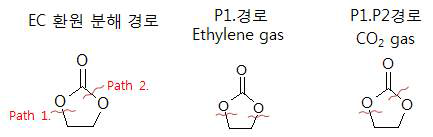 EC 분해 경로