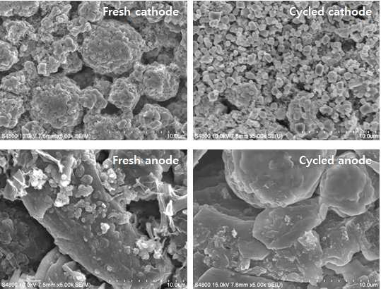 사이클 시험 후 양극 및 음극 표면 SEM 사진