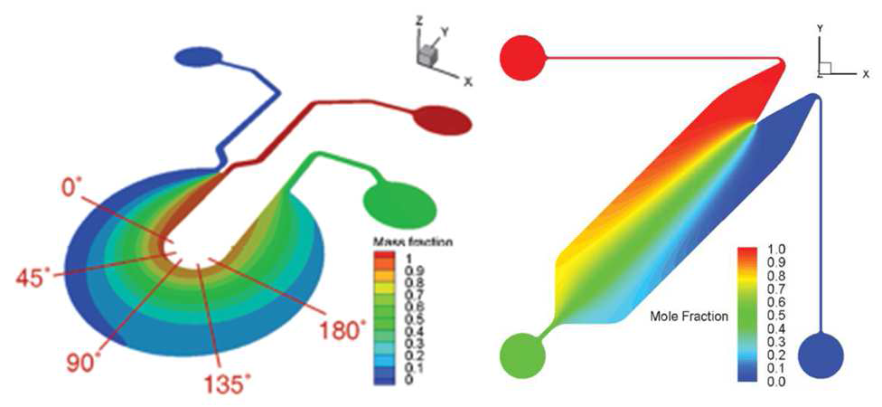 1차원 농도구배 칩의 CFD기반의 simulation 결과