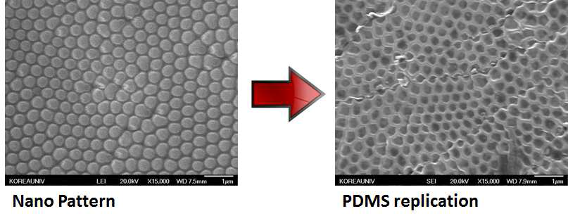나노구조물을 PDMS 폴리머로 리플리케이션
