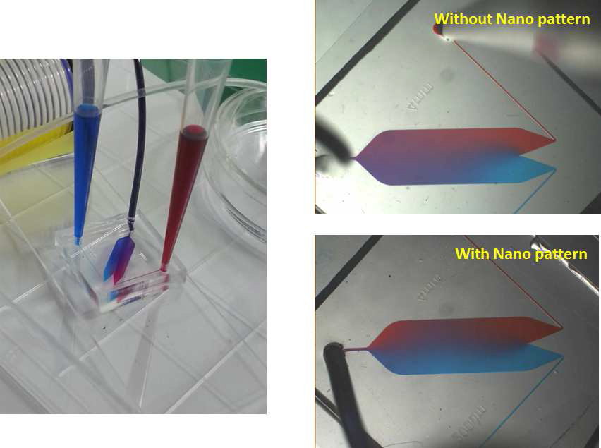 나노패턴과 결합된 1차원 농도구배 실험