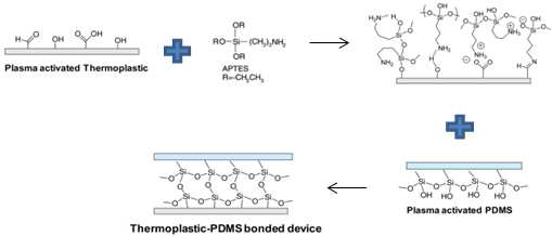 나노구조물과 PDMS 폴리머 접합을 위한 APTES 화학 반응