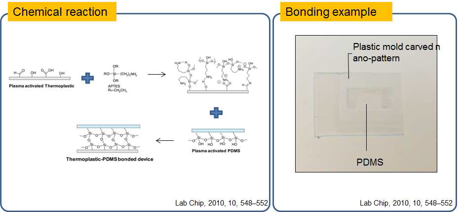 나노구조물과 PDMS 폴리머 접합을 위한 APTES 화학 반응