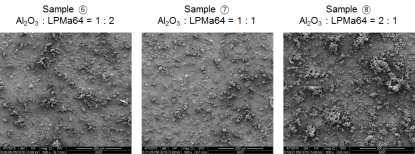Al2O3/LPMA64 코팅된 분리막 표면 모폴로지 SEM 이미지.