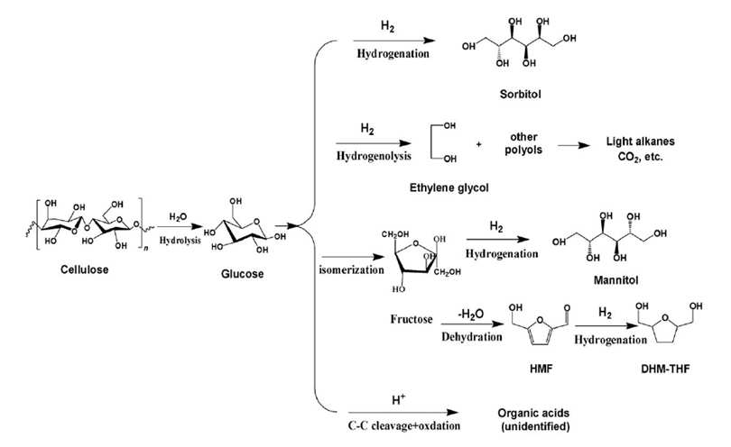 셀룰로오스의 화학적 전환의 가능한 반응 경로 예
