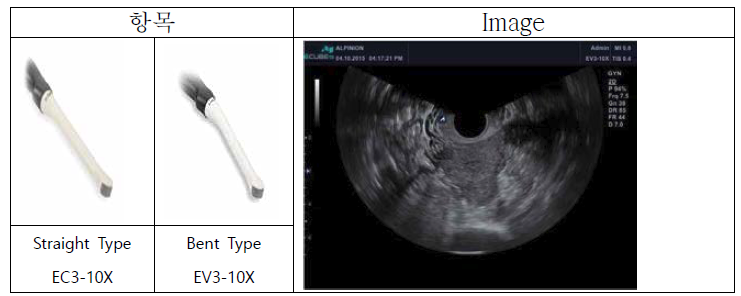 Endocavity Probe 및 영상