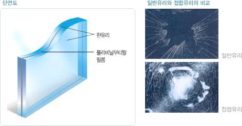 필름접합유리의 단면 및 특징