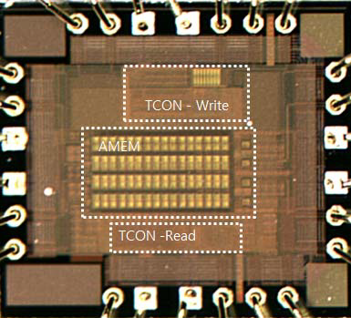 AMEM의 칩 사진
