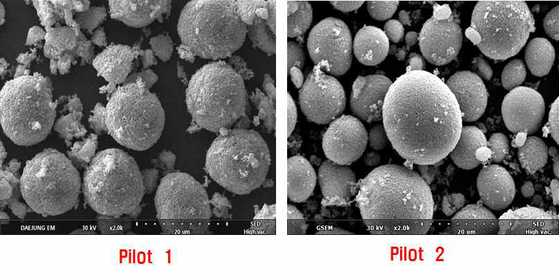 Cathode SEM image