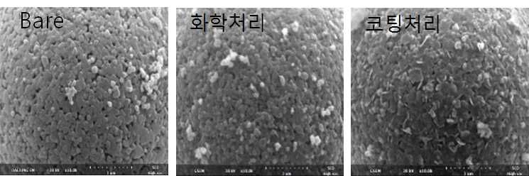 표면 처리된 SEM 형상 비교