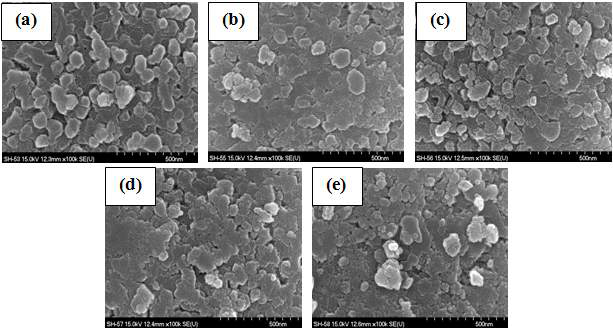 SEM images of ZrO2 coated 0.25LiMn1.5Ni0.5O4-0.75Li2MnO3·Li[Mn0.5Ni0.5]O2 materials (a)pristine, (b)1wt%, (c)3wt%, (d)5wt%, and (e)7wt%