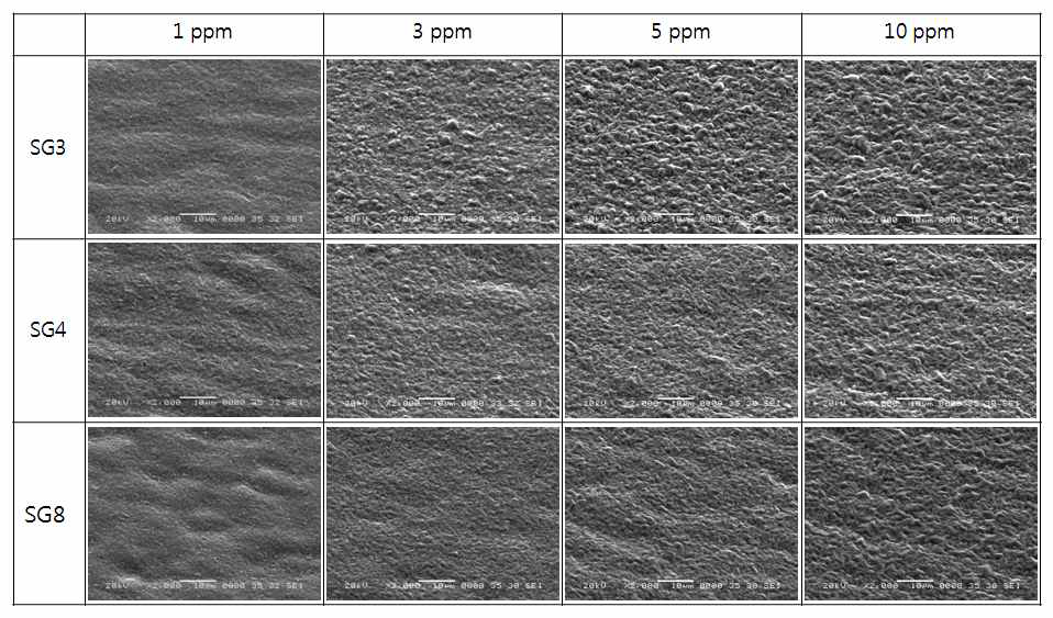 첨가제 SG3, SG4, SG8의 투입량에 따른 표면 morpgology
