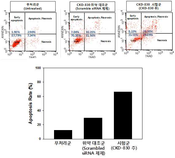 Annexin-V 분석을 통한 세포사멸 효력평가 결과