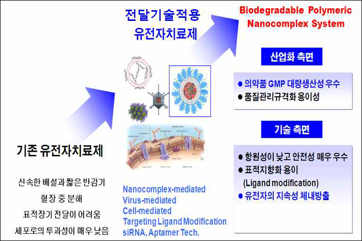 폴리머를 이용한 표적지향성 유전자 전달 기술