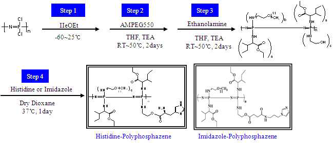 Histidine 또는 Imidazole Conjugated Polyphosphazene