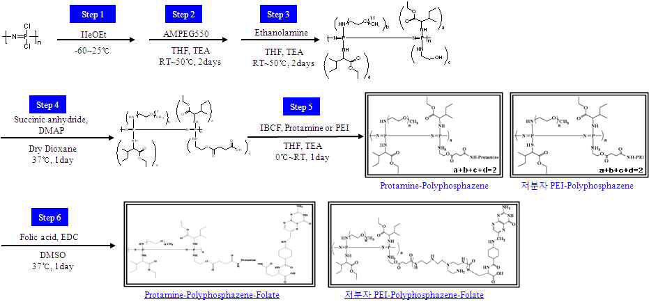 Protamine 또는 저분자 PEI를 도입한 Polyphosphazene